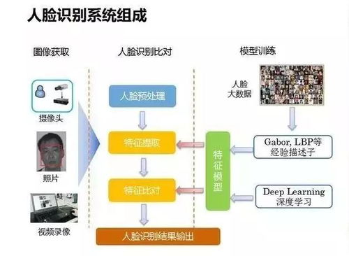 人脸识别中，如何将人脸图像的尺寸由192*168被重新剪切为120×105，两眼之间距离被设定为人脸图像宽度的4／7