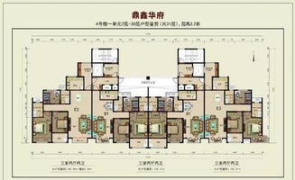 鼎鑫华府户型十大优势 13 楼意向户型图