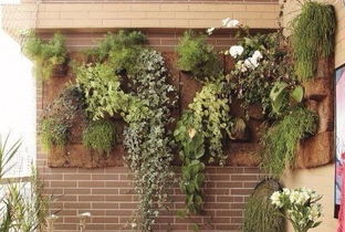 请问图中墙上用来挂植物的是什么材料 