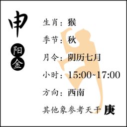 一组漫画让你通晓人生八字命理 天干地支