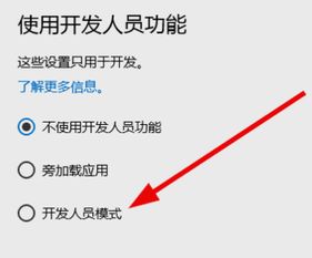 win10开发者模式没安装包