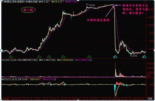 不理解，为什么资金净流出股票还会涨几个点？