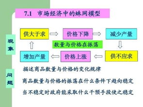 蛛网模型毕业论文