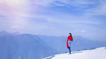 南山南，北秋悲(南山南北秋悲歌词是什么意思)