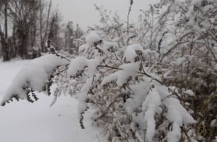 瑞雪兆丰年全诗是什么 