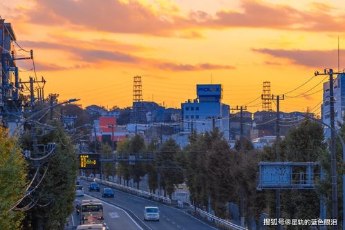 恋爱中最难 攻克 的星座,套路对他们无用,只有用真心才能成功