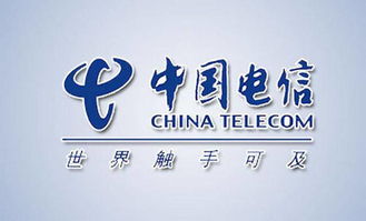 中国电信有股吗？上市了吗？在哪上市的？