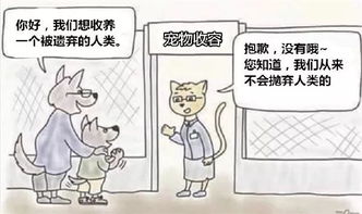 不管什么角色变猫之后都萌萌哒了