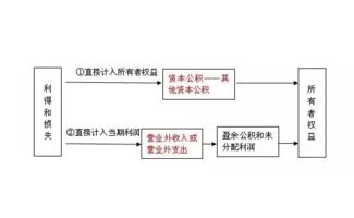 直接计入当期利润的利得和损失！应该怎样理解呢？可以举例说明吗？ 请帮忙，尽快！谢谢