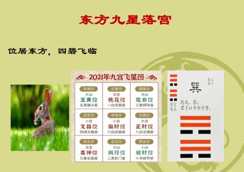 日出东方 2021辛丑年 东方该如何布局