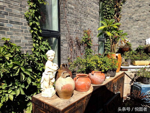 慢享生活北京通州一个文艺小院如同法国人私藏的度假小镇