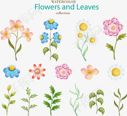 水彩绘花卉和叶子矢量素材图片免费下载 高清装饰图案psd 千库网 图片编号6733952 