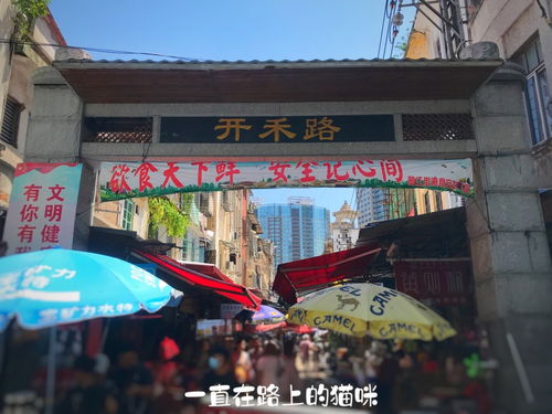 厦门八市海鲜加工餐厅,新鲜平价美味,小青龙85元一只还免加工费 白灼 