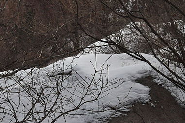 孔雀 阳光下的残雪 每每下雪 总想去北九水看看 总是错过 今冬无雪 赶上倒春寒 前几日一场微弱的降温 给九水又披上银装... .. ... 分享自 