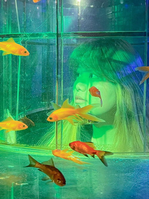 宁波新展 在水族馆里看金鱼 好拍好逛 