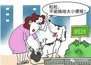 养犬不能任性 今起广州 最严 养犬整治,不牵狗绳 狗扰民等将被查处 