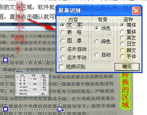 正版挂牌之全篇文档如何转换成数字形式？