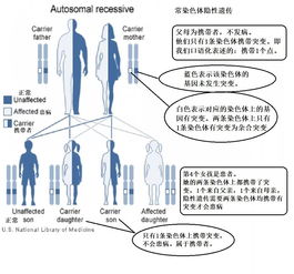 眼皮跳测吉凶有科学依据吗