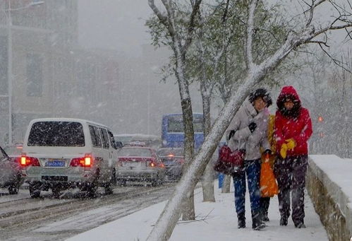 在烟台寒冷的雪天里,总有一些人温暖着我们 