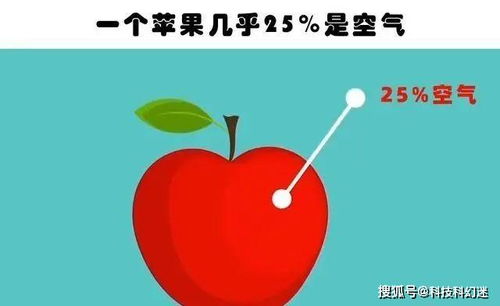 即便真正的学霸也未必知晓的9个有趣的冷知识