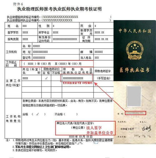 执业医师考试现场审核需要什么资料