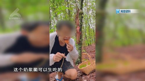 为博眼球,网友拍视频生吃 见手青 ,不怕 躺板板 吗