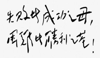 成功的秘诀名言-形容好的方法是成功的一半的名言？