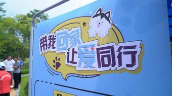 福田区举行 依法文明养犬 领养替代购买 主题活动 福田动态 福田政府在线