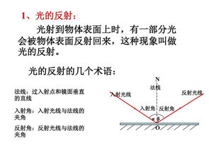 八年级物理知识