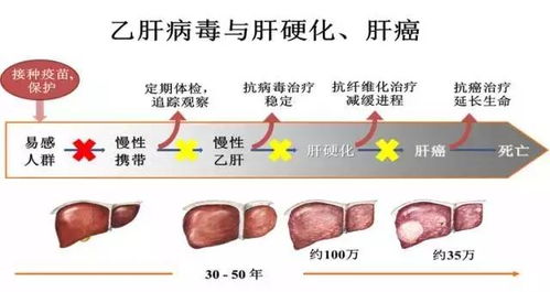 搜狐公众平台 中国疾控中心主任王宇 接种疫苗的益处超出想象 