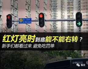 右转需看灯 五一路 贡院路 解放路 向阳路这几个十字路口增加右转红灯