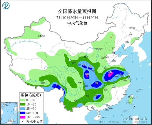 来了,新闻早茶