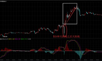 2022年1月21号eia数据利空，为什么行情大涨