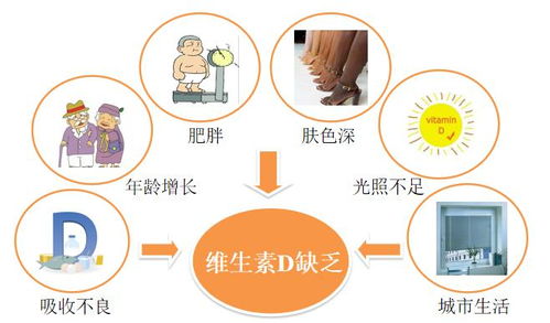 维生素D 没我们想象的简单