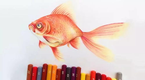 高考季,梦见鲤鱼学业有成哦 彩铅绘画教程