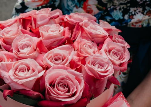 求婚用什么花最好,求婚用手捧花还是束花？