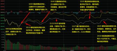 操盘的主力资金能不能随时看到股东持股名单呢？