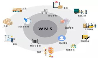 仓储作业的流程有哪些（物流仓储作业基本流程） 第1张