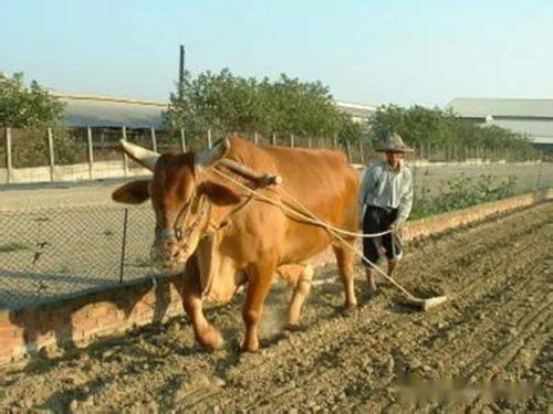 中国很牛 看看你的家乡有多牛