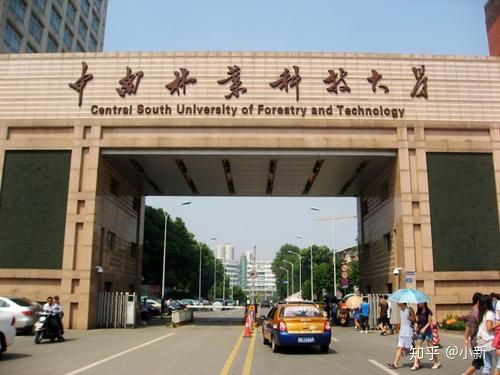 中南林业科技大学专科，中南林业科技大学有哪些专科