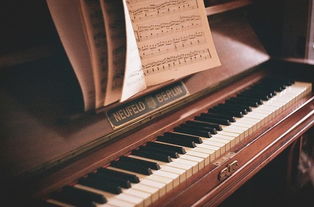 弹钢琴的唯美图片 要女生的 