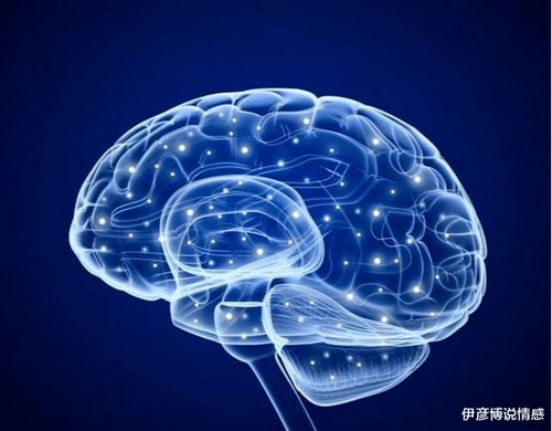 人类的知识,为什么不能遗传给下一代,而需要重新学习