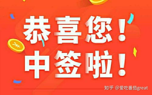 请问小股民，你申购新股有没有中过签？