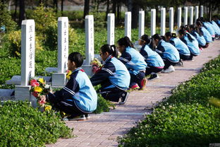 小学生扫墓图片