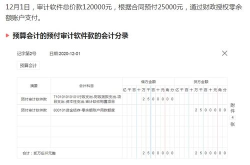 政府会计实操 预算会计和财务会计共184笔真账业务案例,收藏