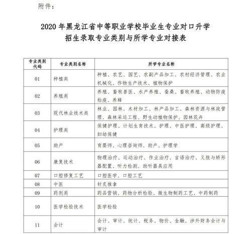 职业培训学校校志范文（大学生生涯规划范文中职业发展策略如何写？）