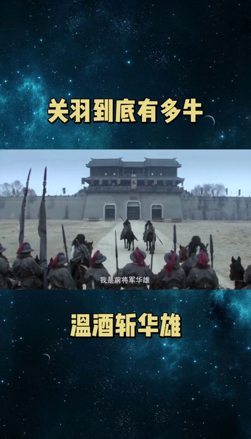 新三国剧情简介(新三国演义65集剧情是什么呀)