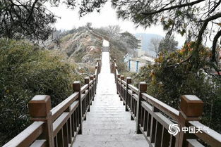 太阳山栈道铺 白纱 常德雨凇满枝头