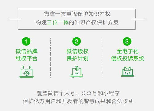 2019年微信知识产权保护全景图 发布 累计处理售假微信个人帐号数6万个