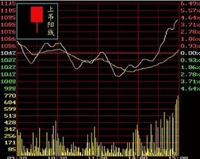 股份公司究竟是怎么发行股票的